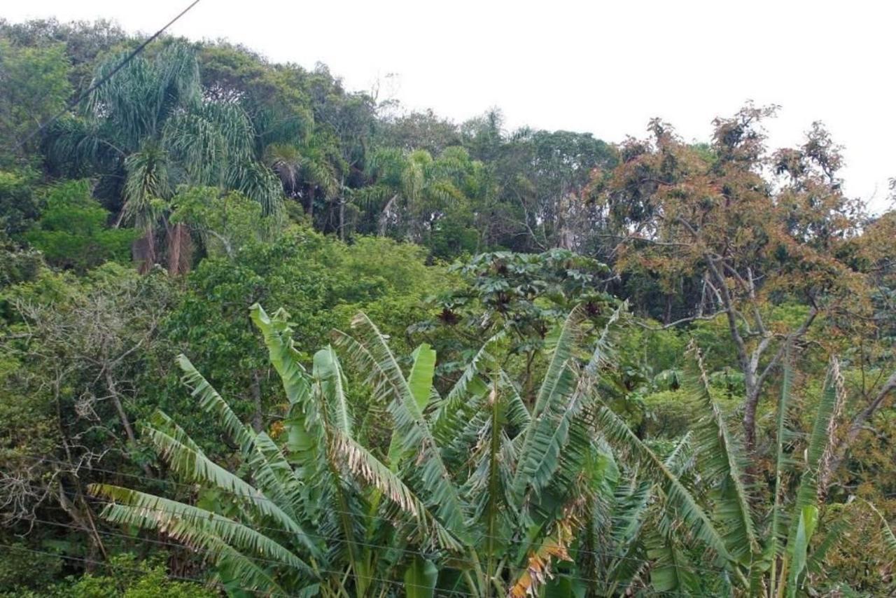 Apartamento Inteiro 3 Quartos No Condominio Solar Das Bromelias Bombinhas Exteriör bild